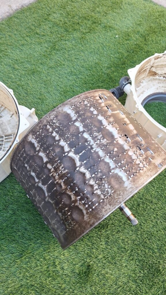 whatsapp image 2026 02 04 at 4pm